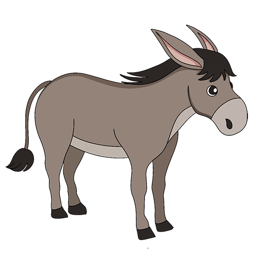 Donkey